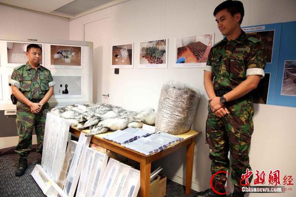 香港警方,“雷霆一五”,最大黑帮,三合会