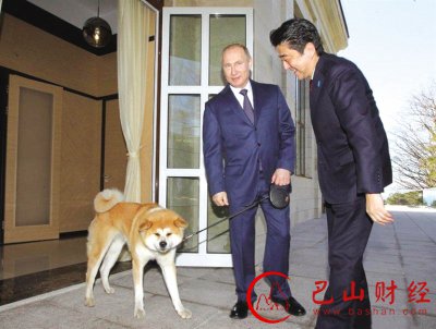 日本,阅兵,安倍晋三,和平