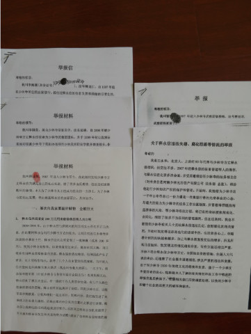 少林武僧总教头,释延鲁,进京举报,释永信