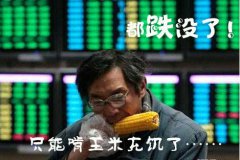 股市大跌往往是新手最吃亏